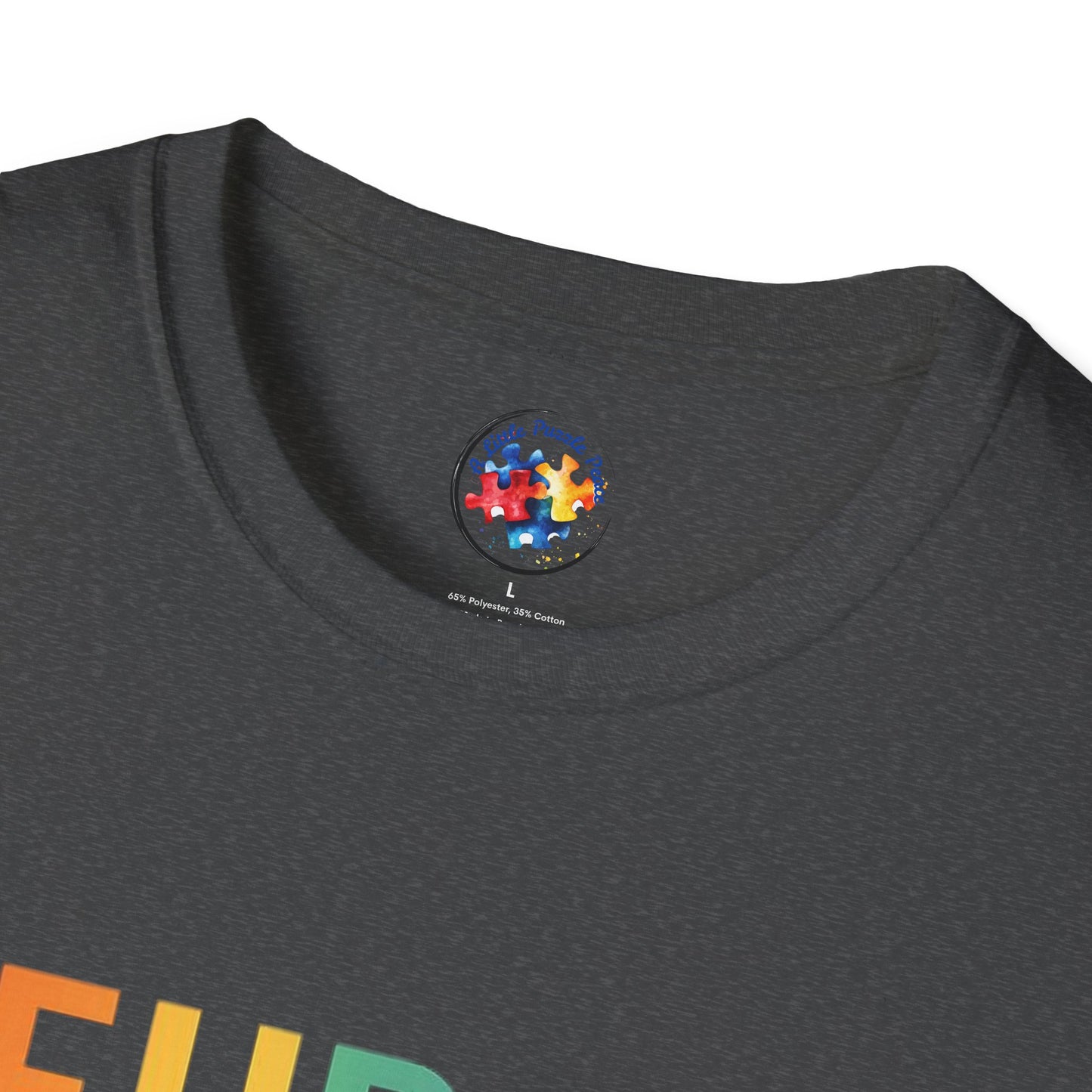NeuroDiversity Rainbow Color Adult Size T-Shirt